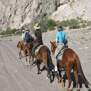 Horseback riding tour